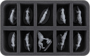 Feldherr Storage Box DSLB310 for Soulblight Gravelords