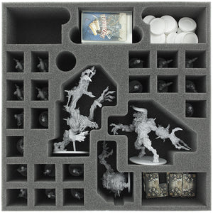 Transporter with 2 LBBG boxes for for the complete Zombicide Black Plague Kickstarter Knight Pledge