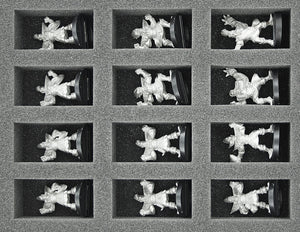 FS035BB04 Bandeja de espuma de tamaño completo de 35 mm para 36 miniaturas del Blood Bowl