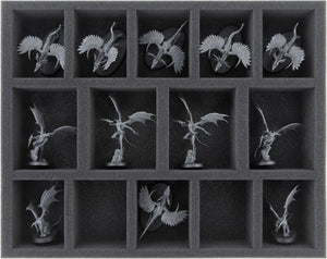 FS050A017 Feldherr foam tray for Warcry: Chaotic Beasts
