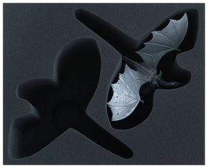 Feldherr foam tray set for Middle-earth Strategy Battle Game: 2 x Winged Nazgûl