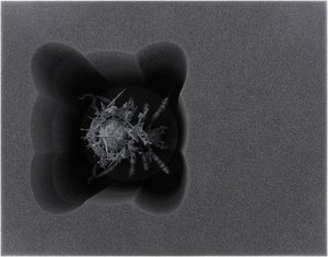 Feldherr foam tray set for Arachnarok Spider + Mangler Squigs