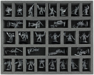 Feldherr Storage Box FSLB250 for Maggotkin of Nurgle