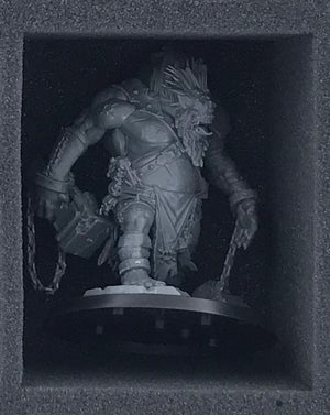 HS075A015 foam tray for Warcry - 15 compartments