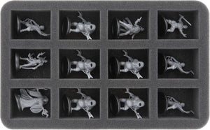 Feldherr Transporter for Shadows of Brimstone: Forbidden Fortress