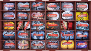 Feldherr Premium Organizer Insert for Frosthaven - core game box