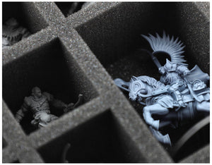 HS070A068 Feldherr foam tray for Warcrow - 10 Compartments