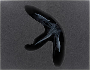 Feldherr Transporter for Dark Souls: Boss Expansions