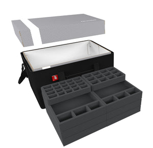 Feldherr Transporter for Shadows of Brimstone: Forbidden Fortress